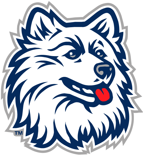 UConn Huskies 1996-2012 Primary Logo DIY iron on transfer (heat transfer)